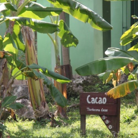 2013-02 Tour de Chocolate Vicentillo